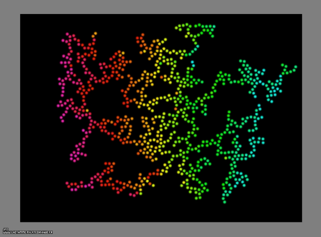 Agrégat fractal bidimensionnel obtenu par collage de 100% des particules lors de leurs collisions, dans un champ de gravitation central attractif, Colonna Jean-François