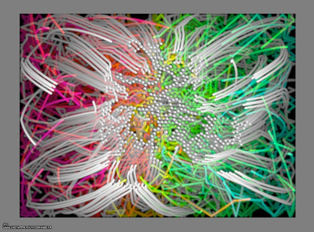 Les trajectoires des particules d'agregats fractals bidimensionnels obtenus par collage de 50% de celles-ci lors de leurs collisions, dans un champ de gravitation central attractif, Colonna Jean-François