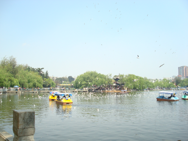 Kunming-Green Lake, Ai Chi-Han