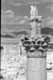 27ème colonne portique sud, temple de Bêl (Palmyre, Syrie)