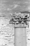 18ème colonne portique sud, temple de Bêl (Palmyre, Syrie)