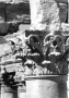 3ème colonne en face de la 10ème file externe portique sud, temple de Bêl (Palmyre, Syrie)