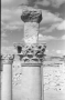 4ème colonne portique sud vis à vis de la 16ème file externe, temple de Bêl (Palmyre, Syrie)