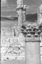 28ème colonne portique sud, temple de Bêl (Palmyre, Syrie)
