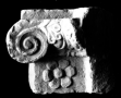 Fragment chapiteau ionique (d'angle rentrant), temple de Bêl (Palmyre, Syrie)