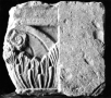 Chapiteau de pilastre corinthien trouvé dans le sanctuaire de Bêl, temple de Bêl (Palmyre, Syrie)