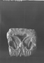 Fragment de chapiteau corinthien, temple de Bêl (Palmyre, Syrie)