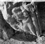 Klinè de sarcophage avec personnage allongé en toge D'OGI LÔ , temple de Bêl (Palmyre, Syrie)